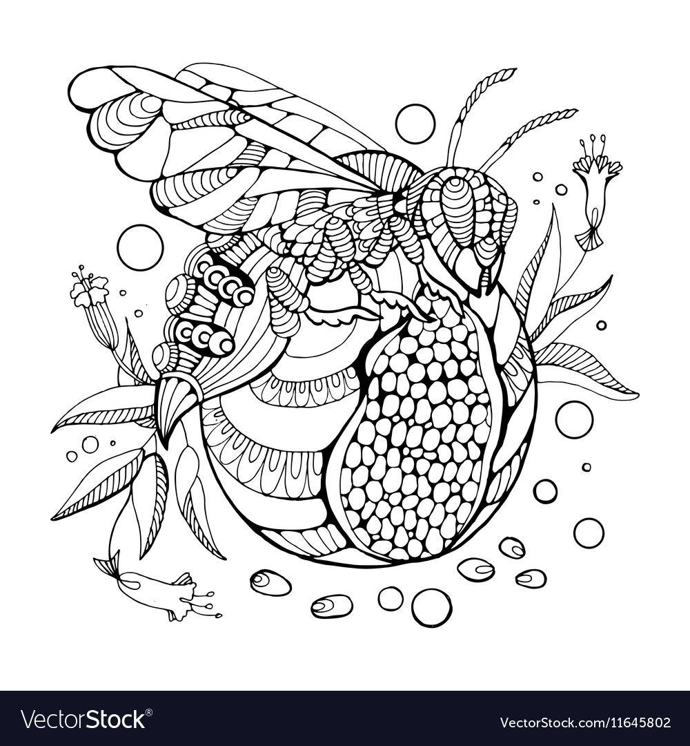 Wasp coloring book for adults royalty free vector image