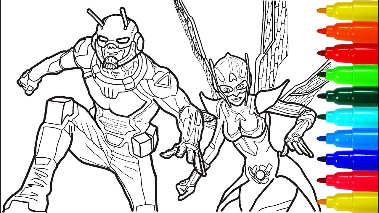 Ant