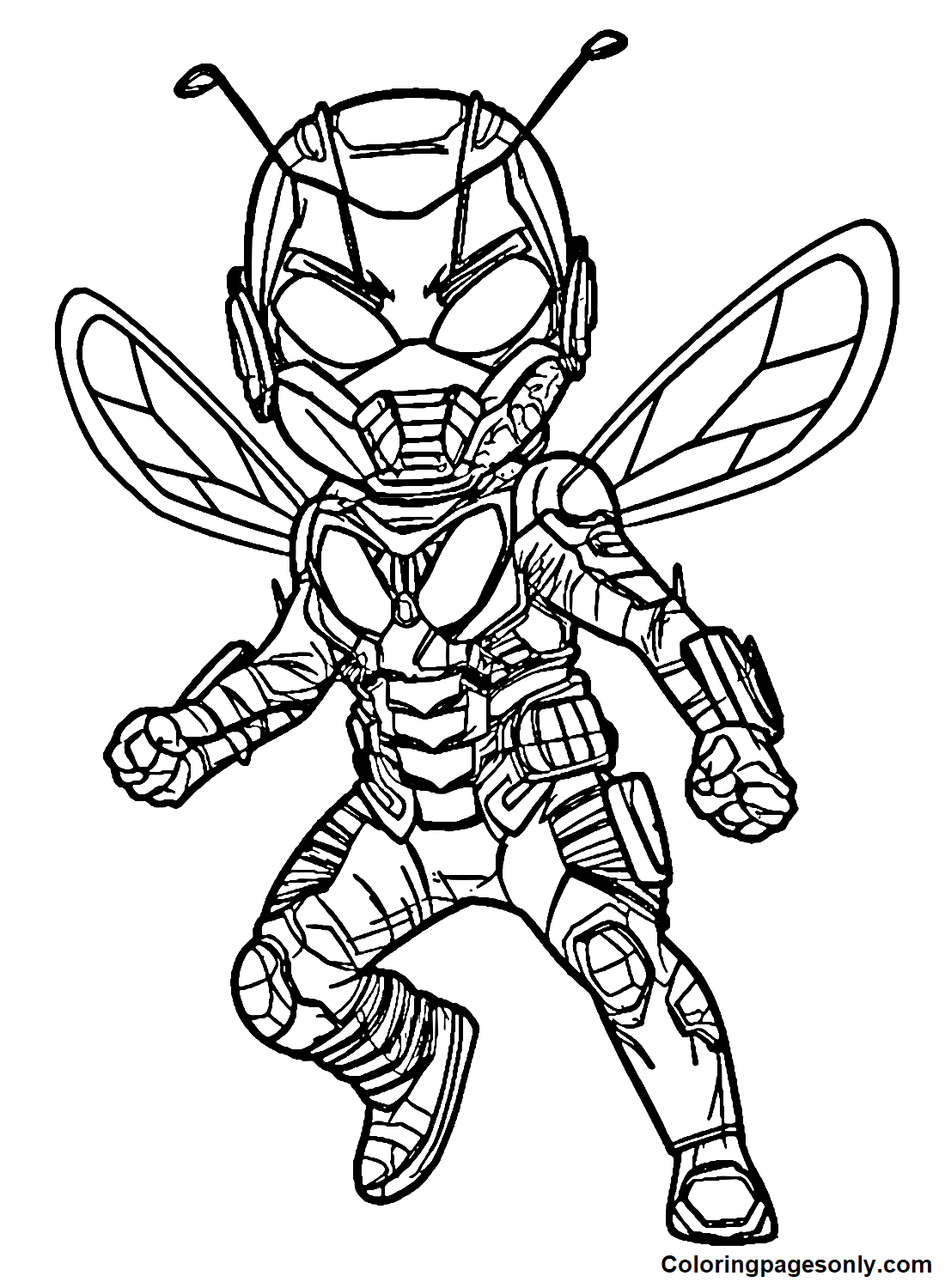 Ant
