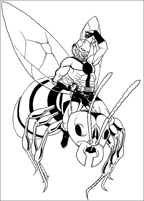 Ant
