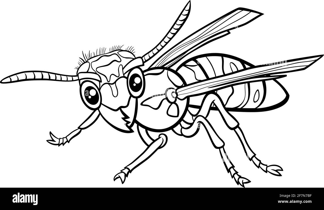 Black and white cartoon illustration of yellowjacket or wasp insect animal character coloring book page stock vector image art