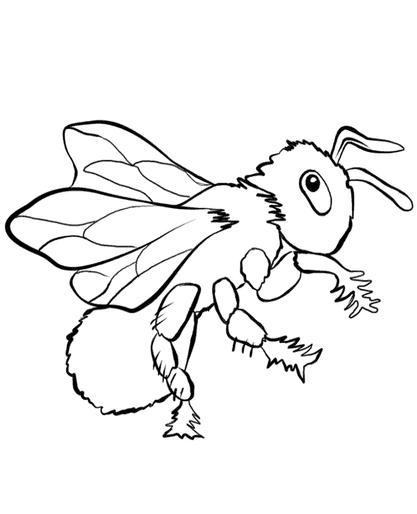 Fly pictures for toddlers