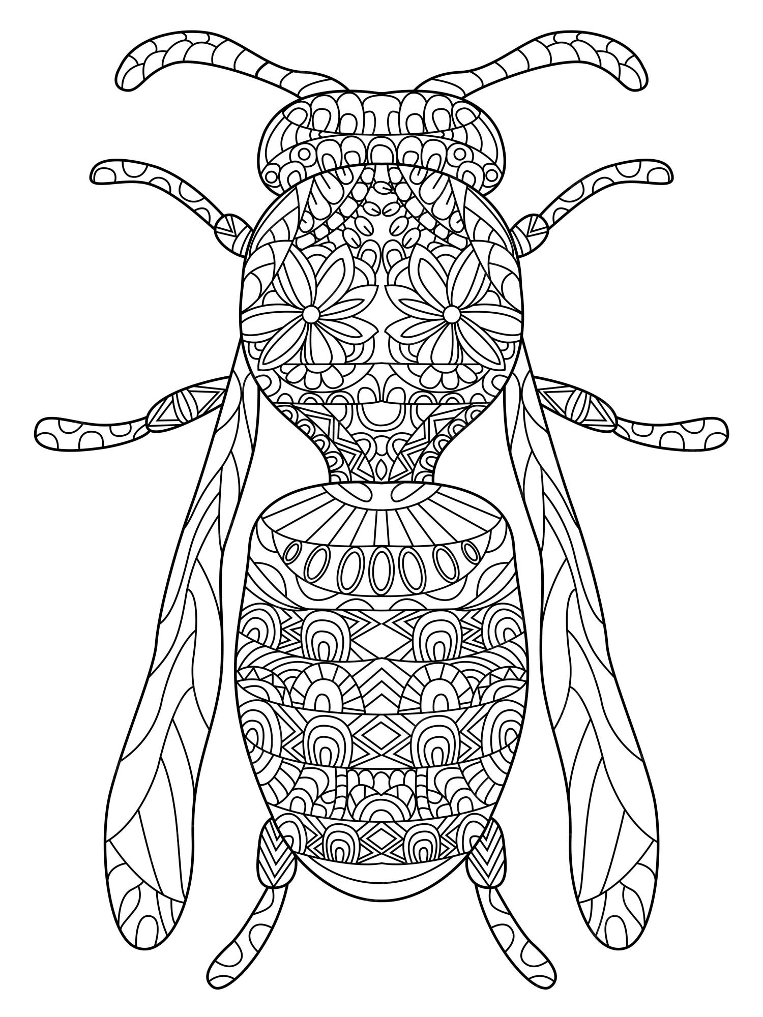 Premium vector wasp coloring vector for adults