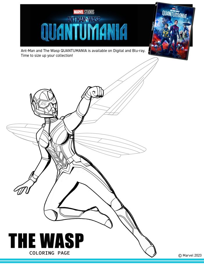 Ant