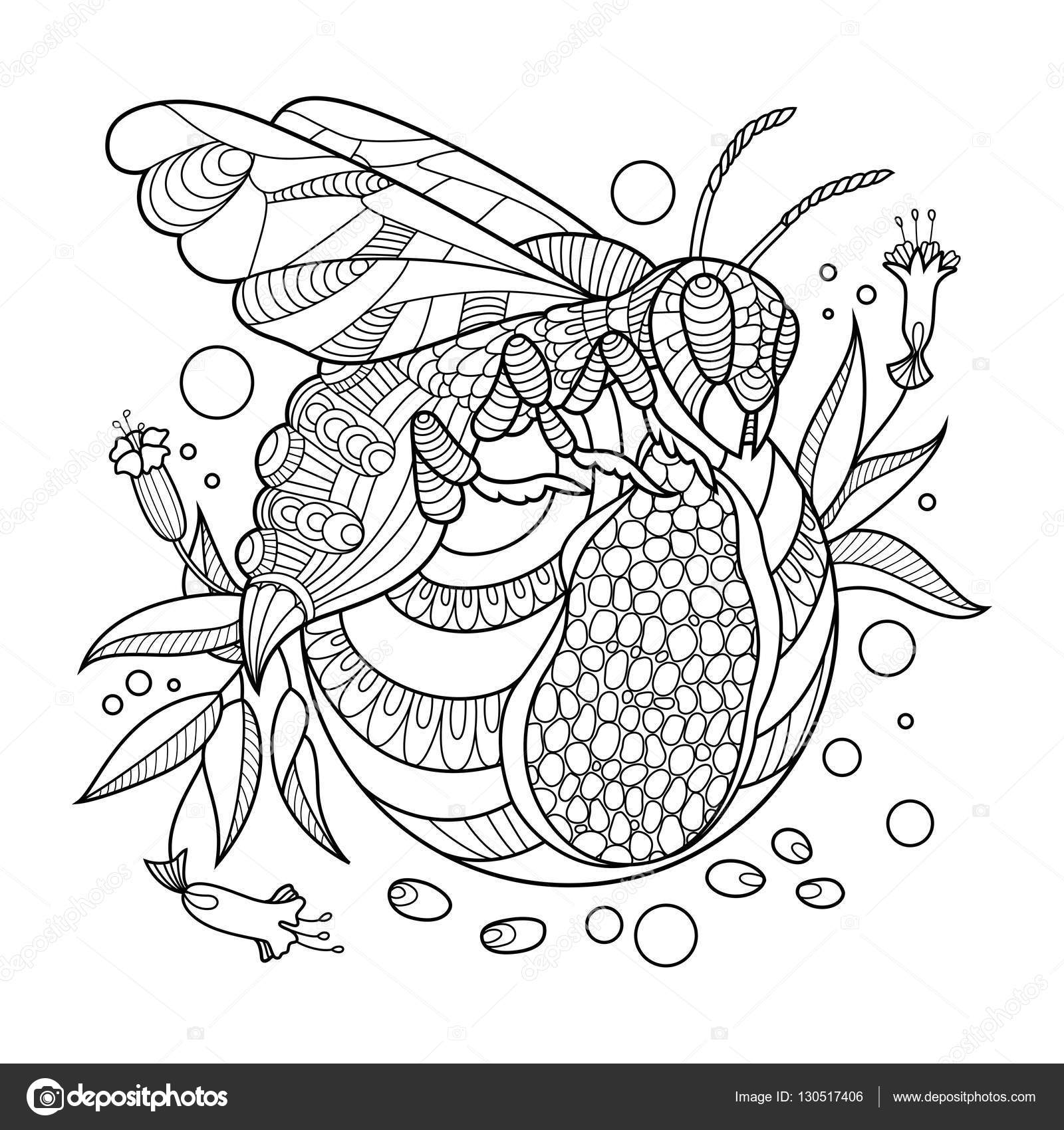 Wasp coloring book for adults vector illustration stock vector by alexanderpokusay