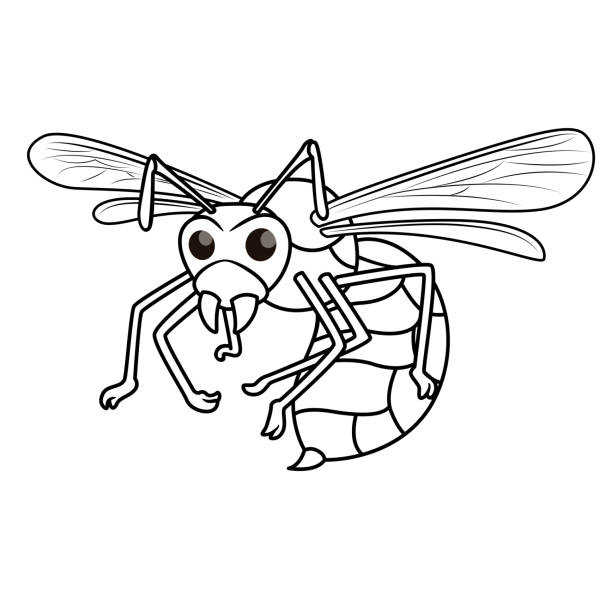 Vector illustration of wasp isolated on white background for kids coloring book stock illustration