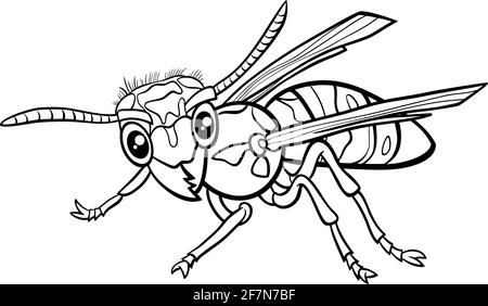 Black and white cartoon illustration of yellowjacket or wasp insect animal character coloring book page stock vector image art