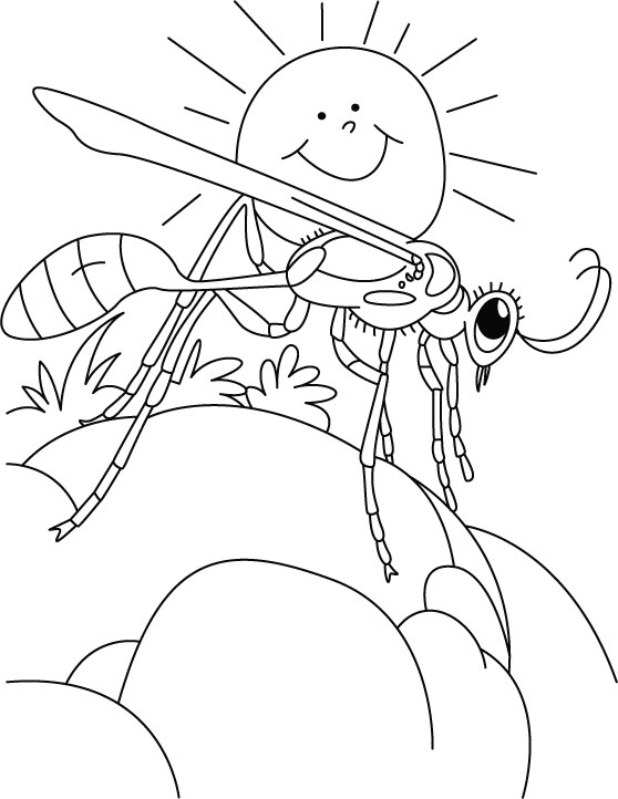Wasp bask coloring pages download free wasp bask coloring pages for kids best coloring pages