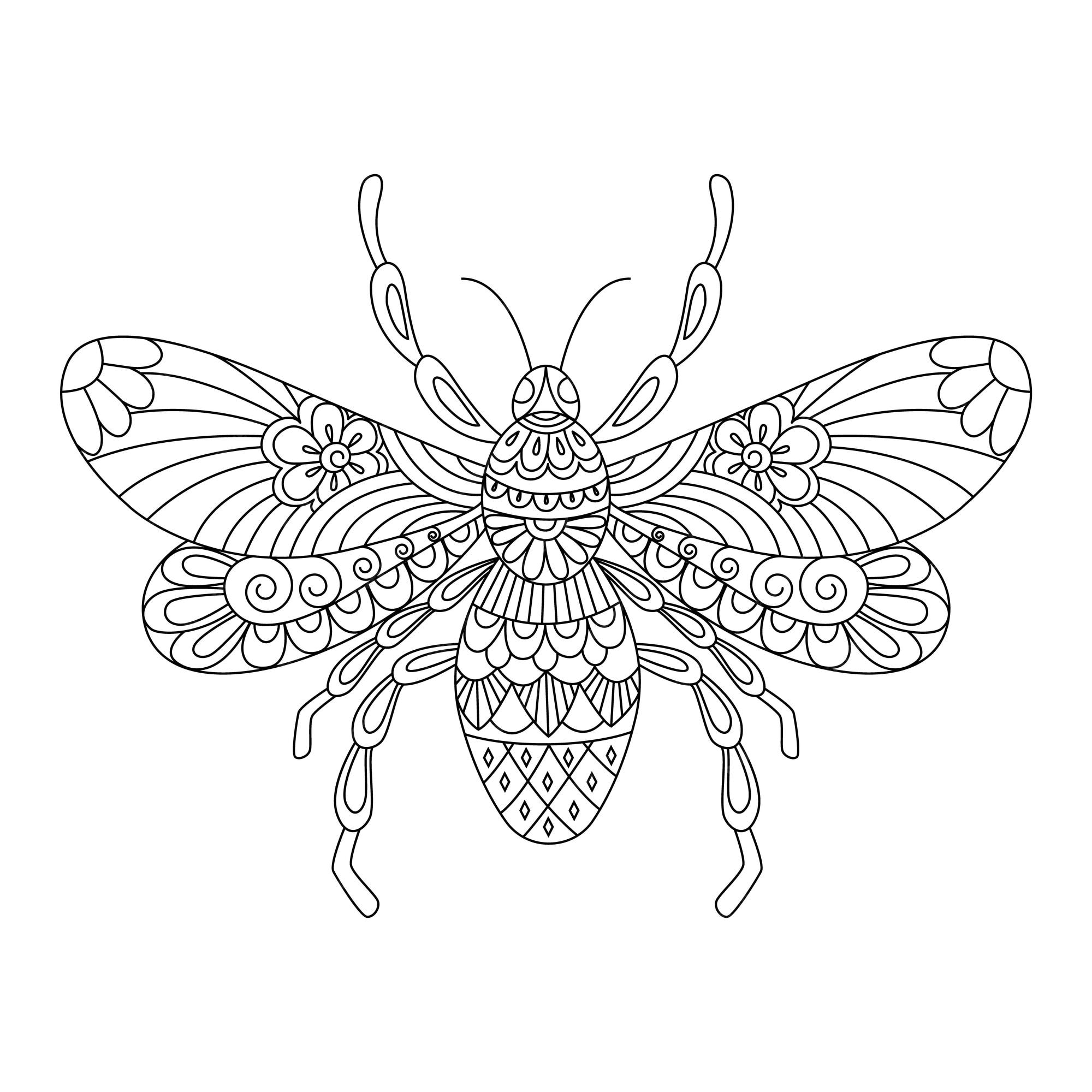 Premium vector bee wasp contour linear illustration for coloring book cute insect anti stress picture vector