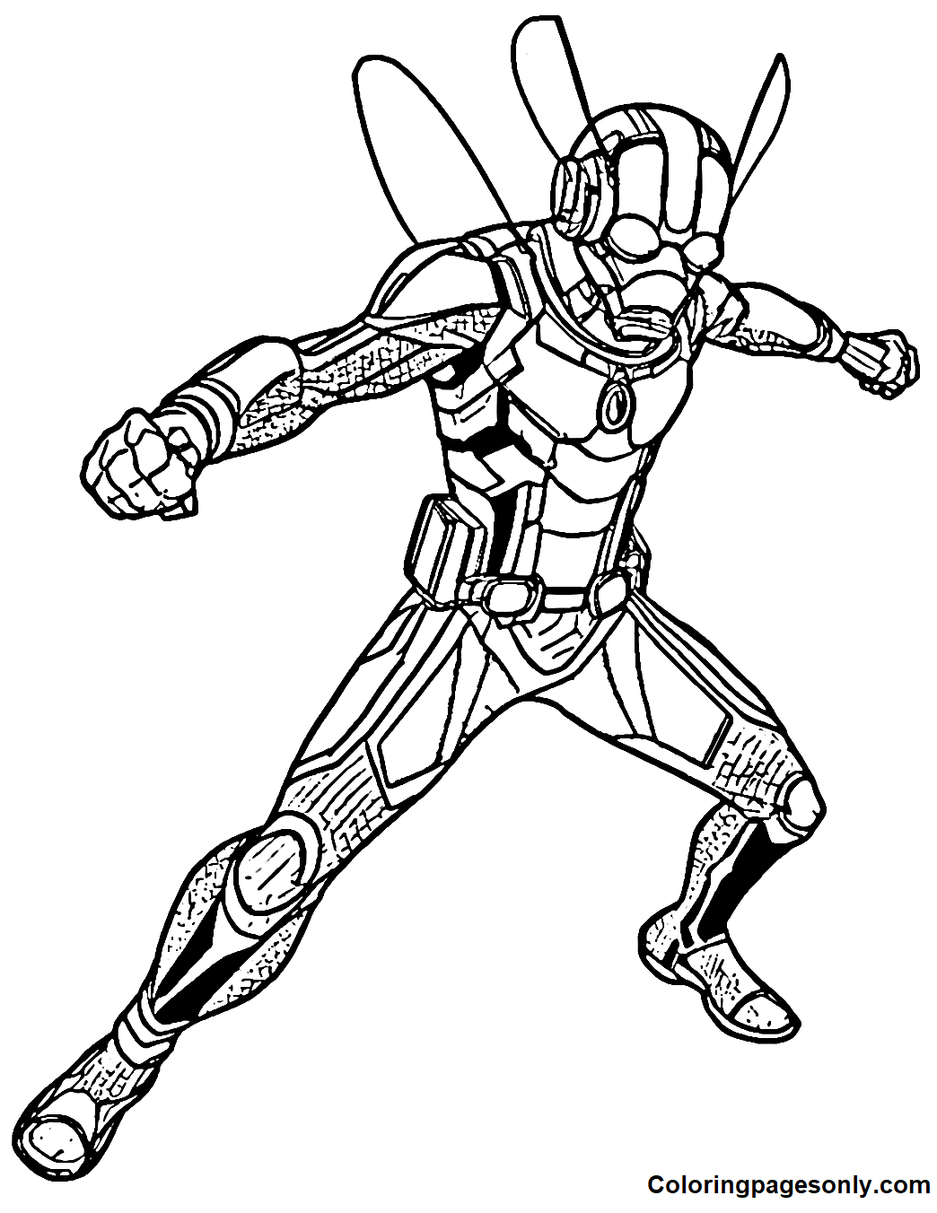 Ant