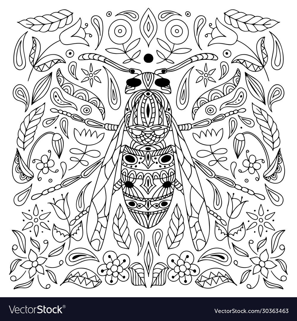 Antistress coloring page insect wasp isolated vector image