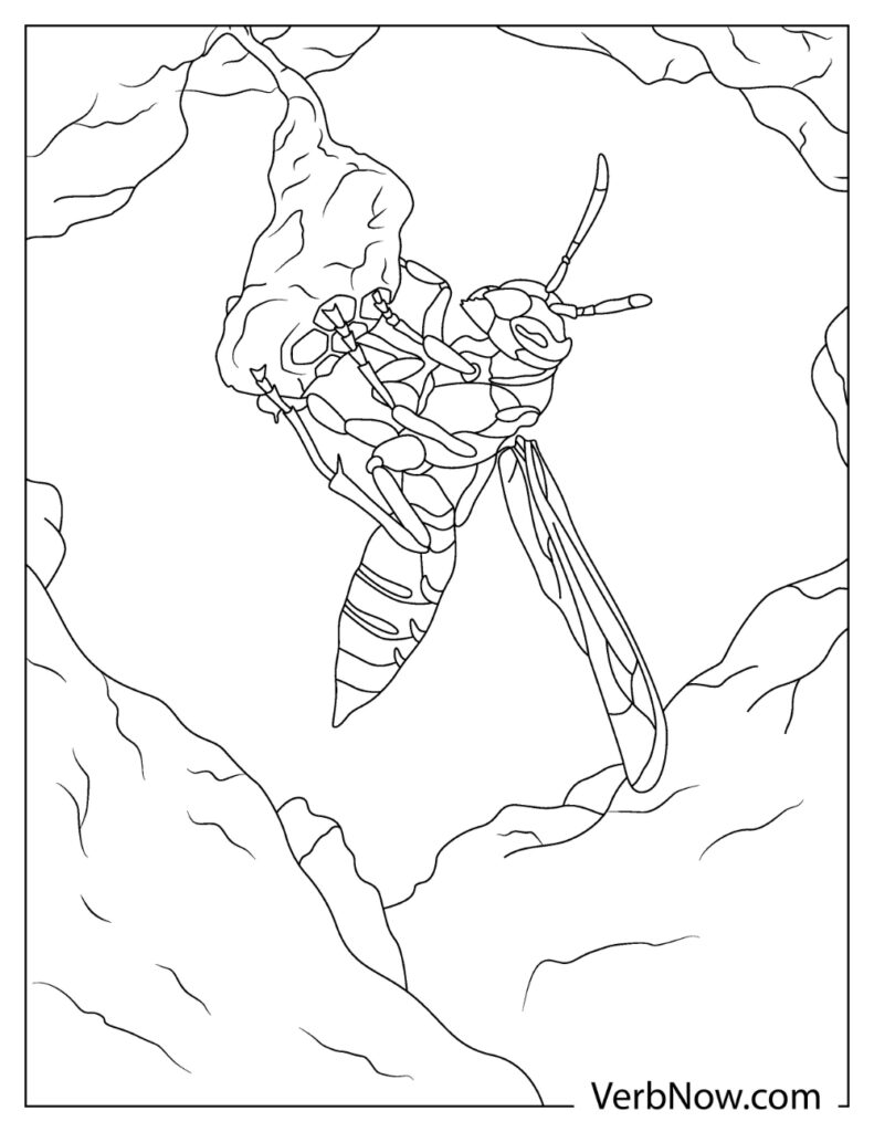 Free wasp coloring pages book for download printable pdf
