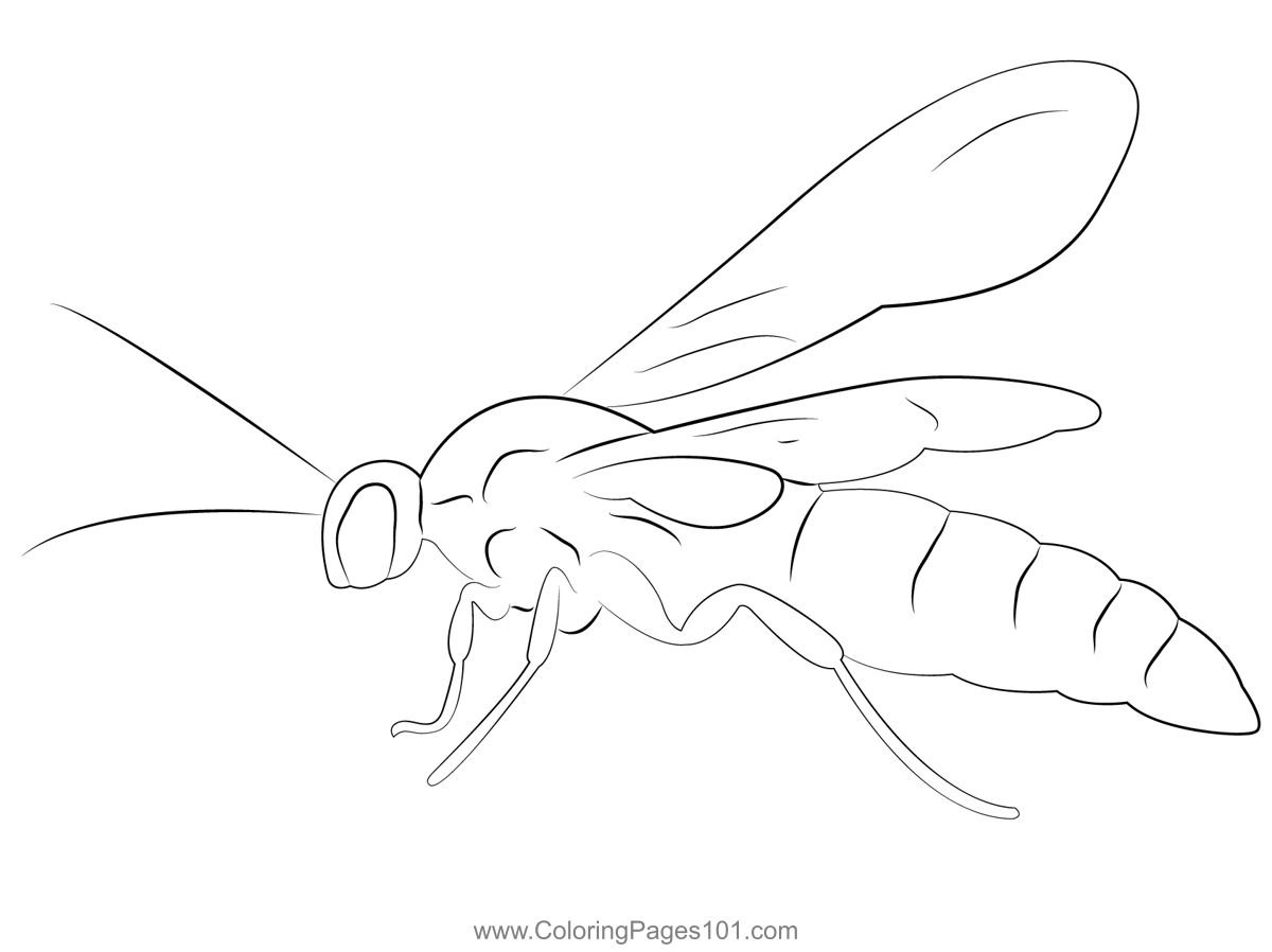Black flower wasp coloring page for kids