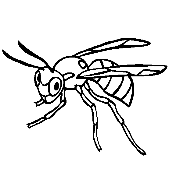 Wasp coloring page