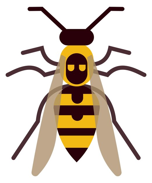 Page wasp insect images