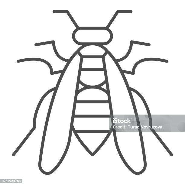 Bee thin line icon insects concept wasp sign on white background honeybee icon in outline style for mobile concept and web design vector graphics stock illustration