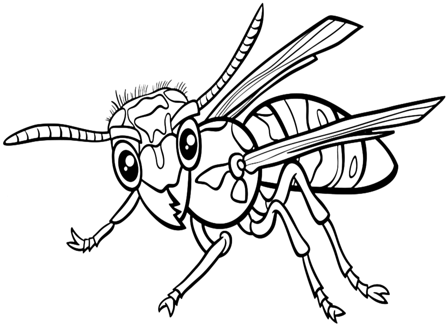 Wasp coloring pages