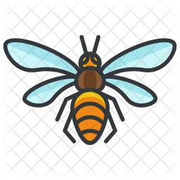 Bee icon