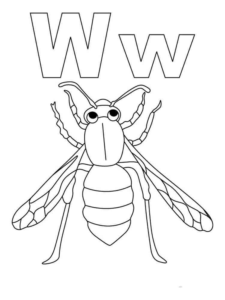 Wasp coloring pages
