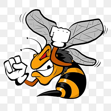 Wasp png transparent images free download vector files