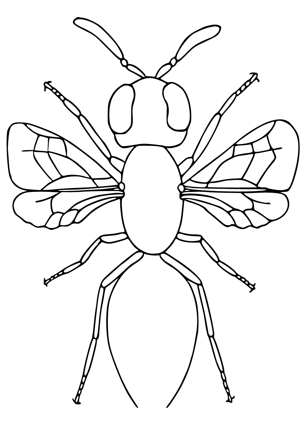 Free printable insects easy coloring page sheet and picture for adults and kids girls and boys