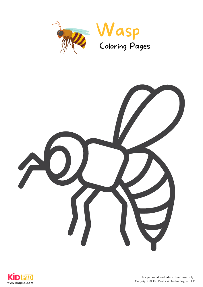 Wasp coloring pages for kids â free printables