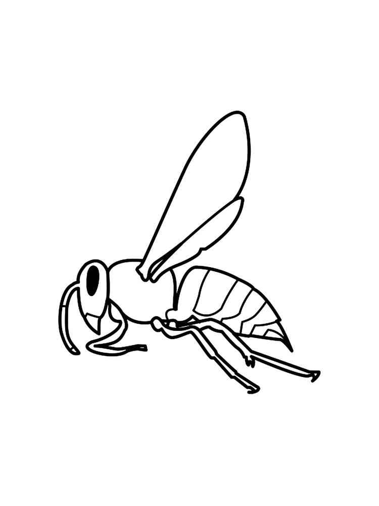 Wasp coloring pages
