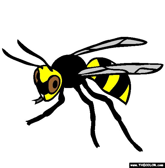 Wasp coloring page coloring pages wasp color