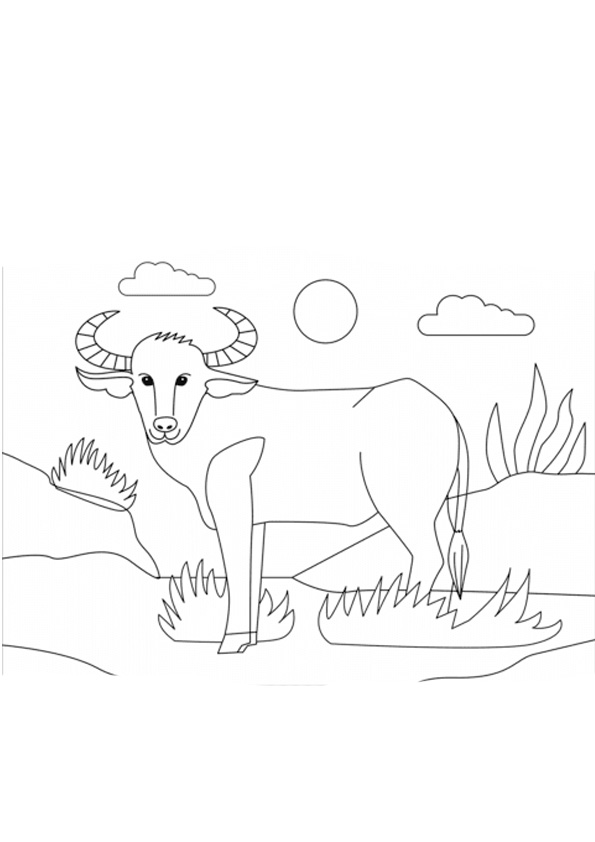 Coloring pages printable water buffalo coloring page for kids