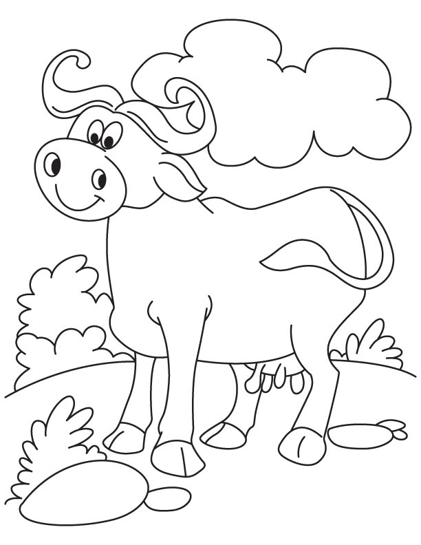Cool n relaxed buffalo coloring page download free cool n relaxed buffalo coloring page for kids best coloring pages