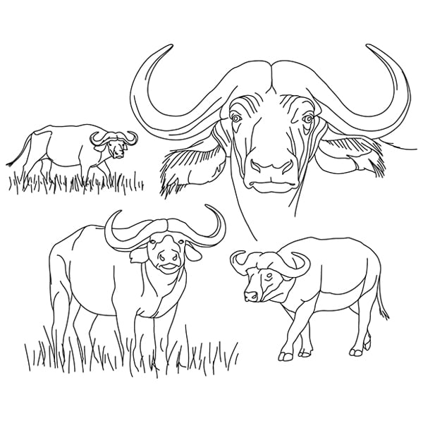 Water buffalo sketch svg dxf cutting machine laser cutting designs craft genesis
