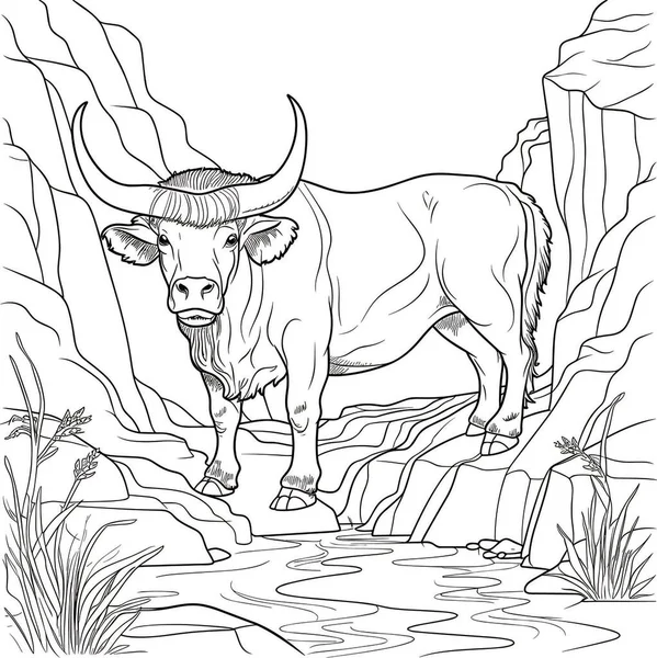 Markhor coloring pages kids stock photo by faridabegumgmail