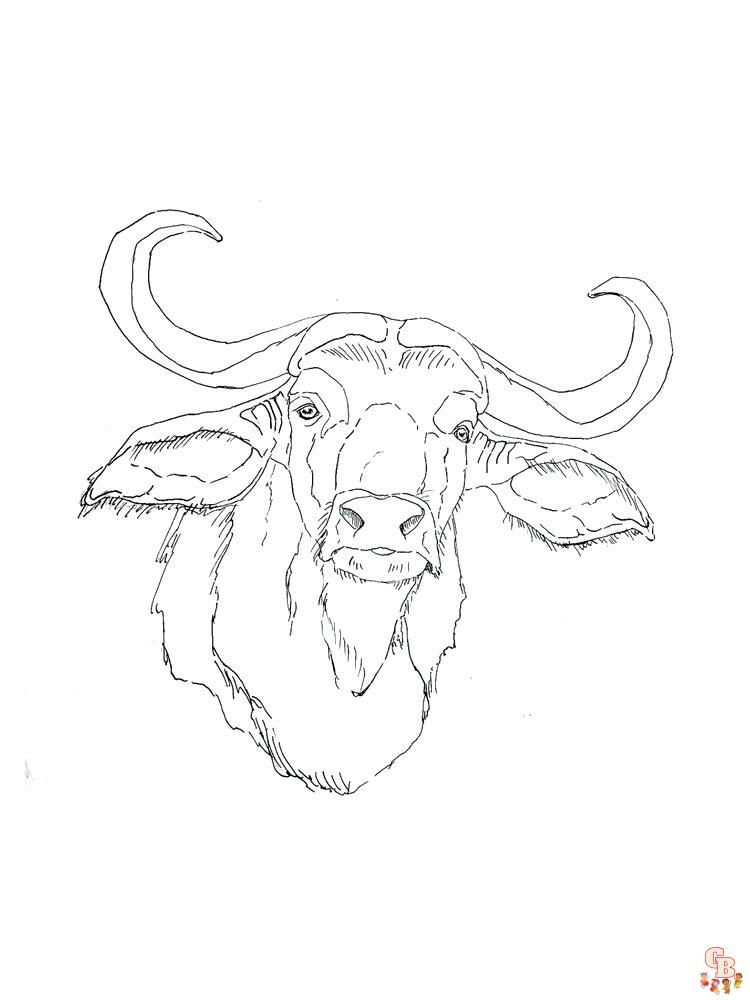 Discover buffalo with free printable coloring pages