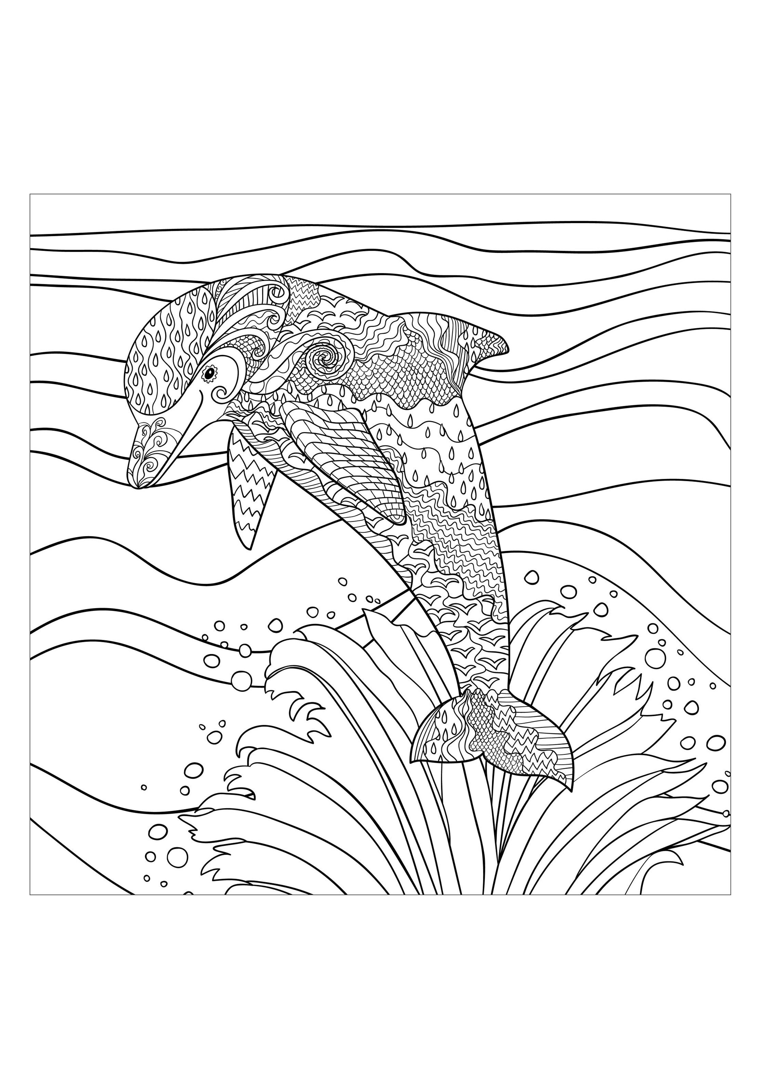 Sea dolphin