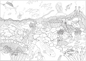 Water worlds
