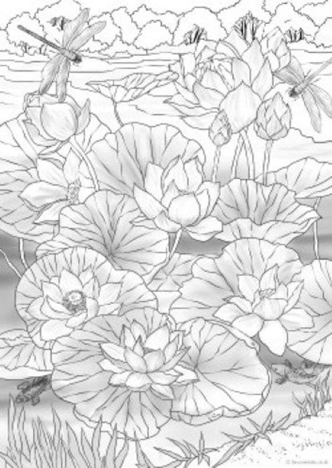 Water lilies printable adult coloring page from favoreads
