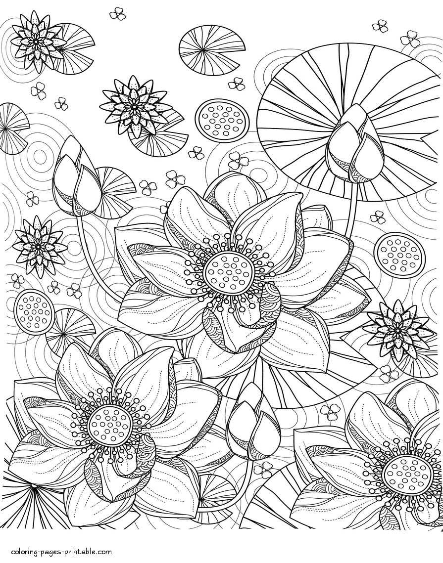 Water lily coloring page coloring