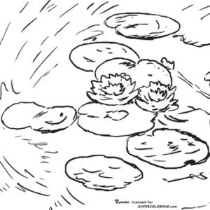 Water lily coloring pages printable for free download