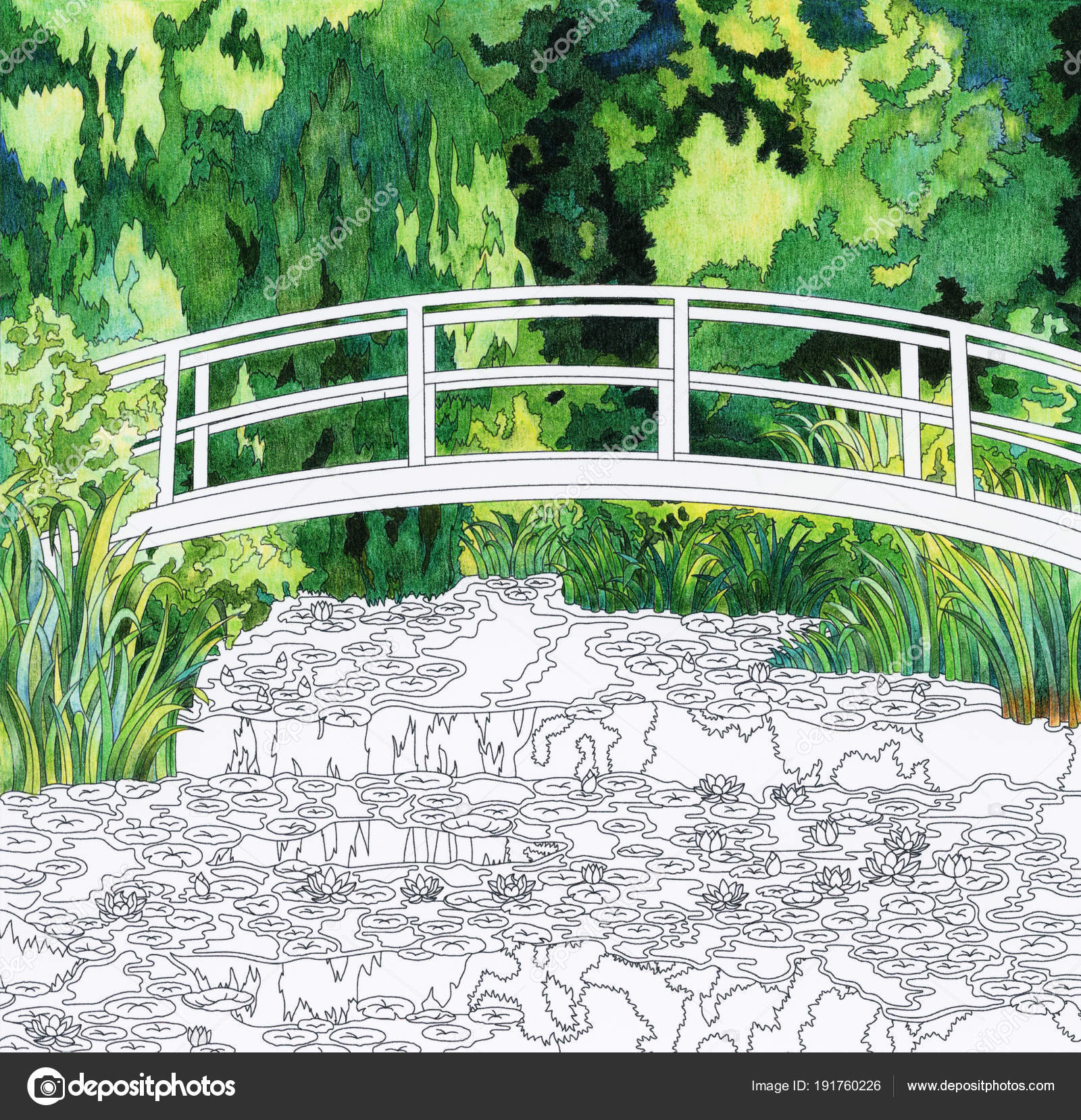Monets water lily adult coloring page stock illustration by rawpixel