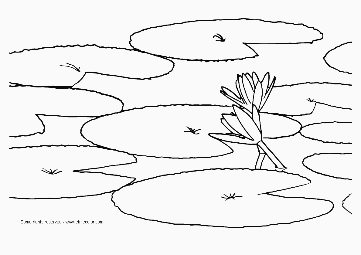 Clau monet water lilies coloring pages