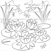 Water lily coloring pages free coloring pages