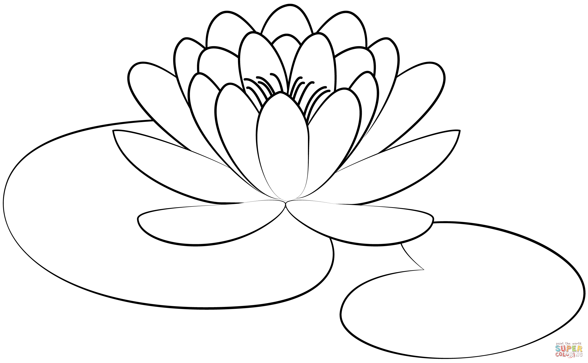 Lily pad coloring page free printable coloring pages