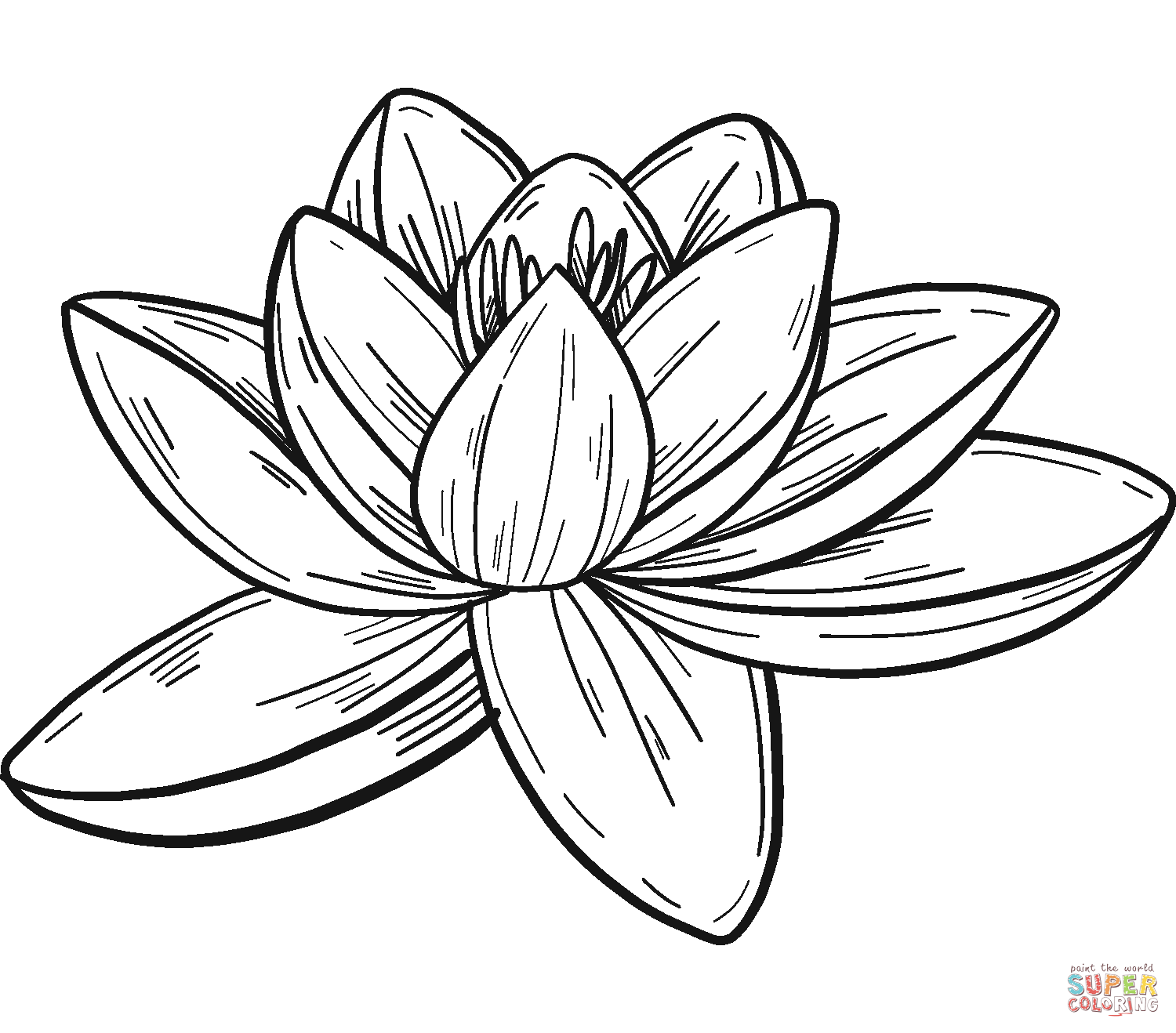 Water lily coloring page free printable coloring pages
