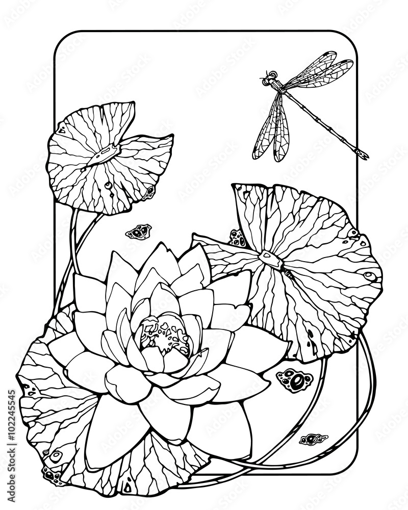 Coloring page with water lily and dragonfly illustration