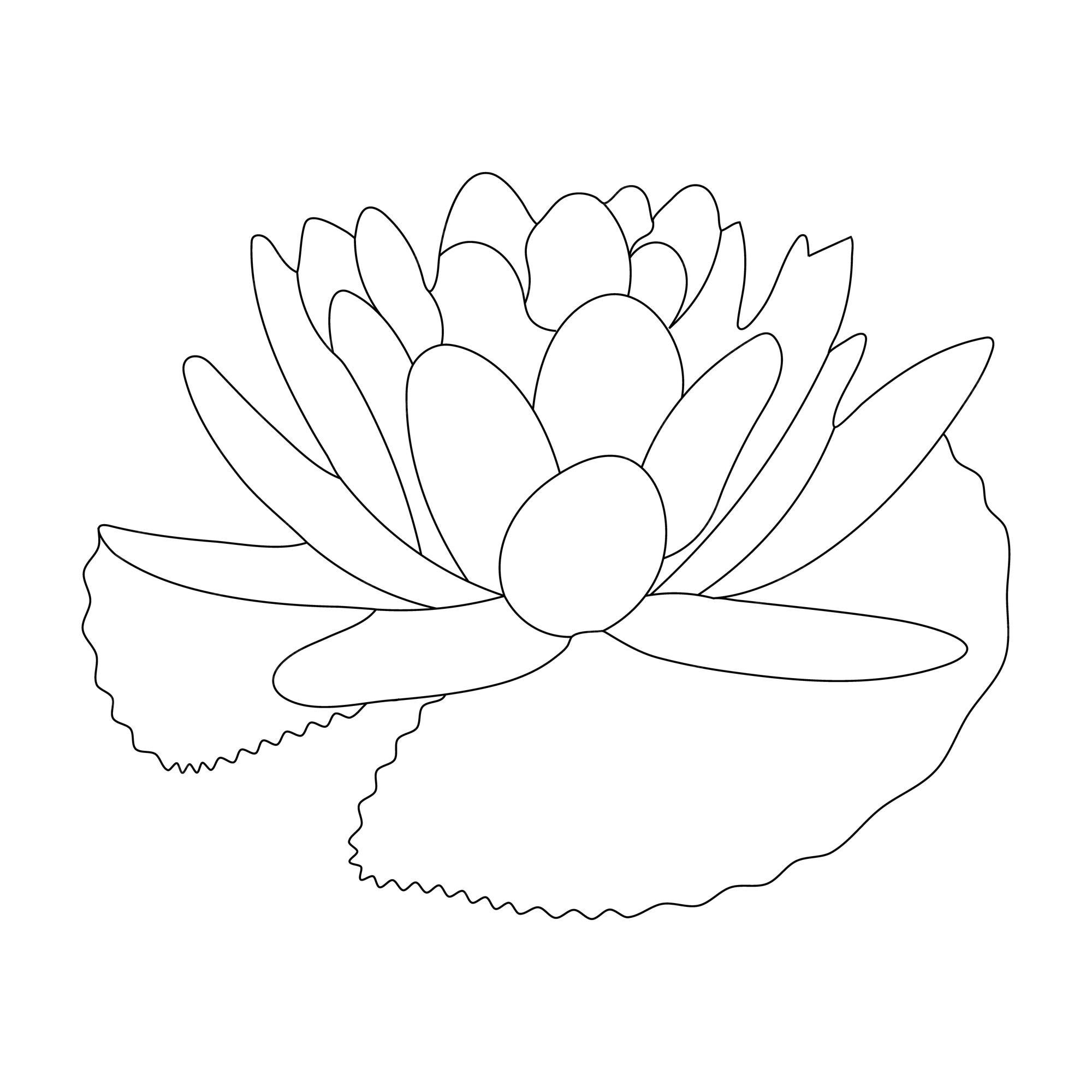 Premium vector water lily coloring page and line art flower sketch with flower vector illustration