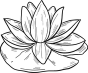 Water lily coloring pages free coloring pages