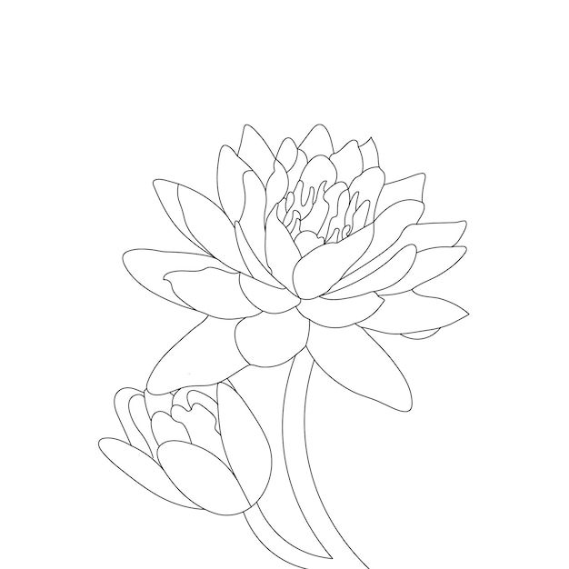 Premium vector water lily coloring page and line art flower sketch with flower vector illustration