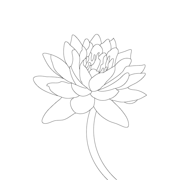 Premium vector water lily coloring page and line art flower sketch with flower vector illustration