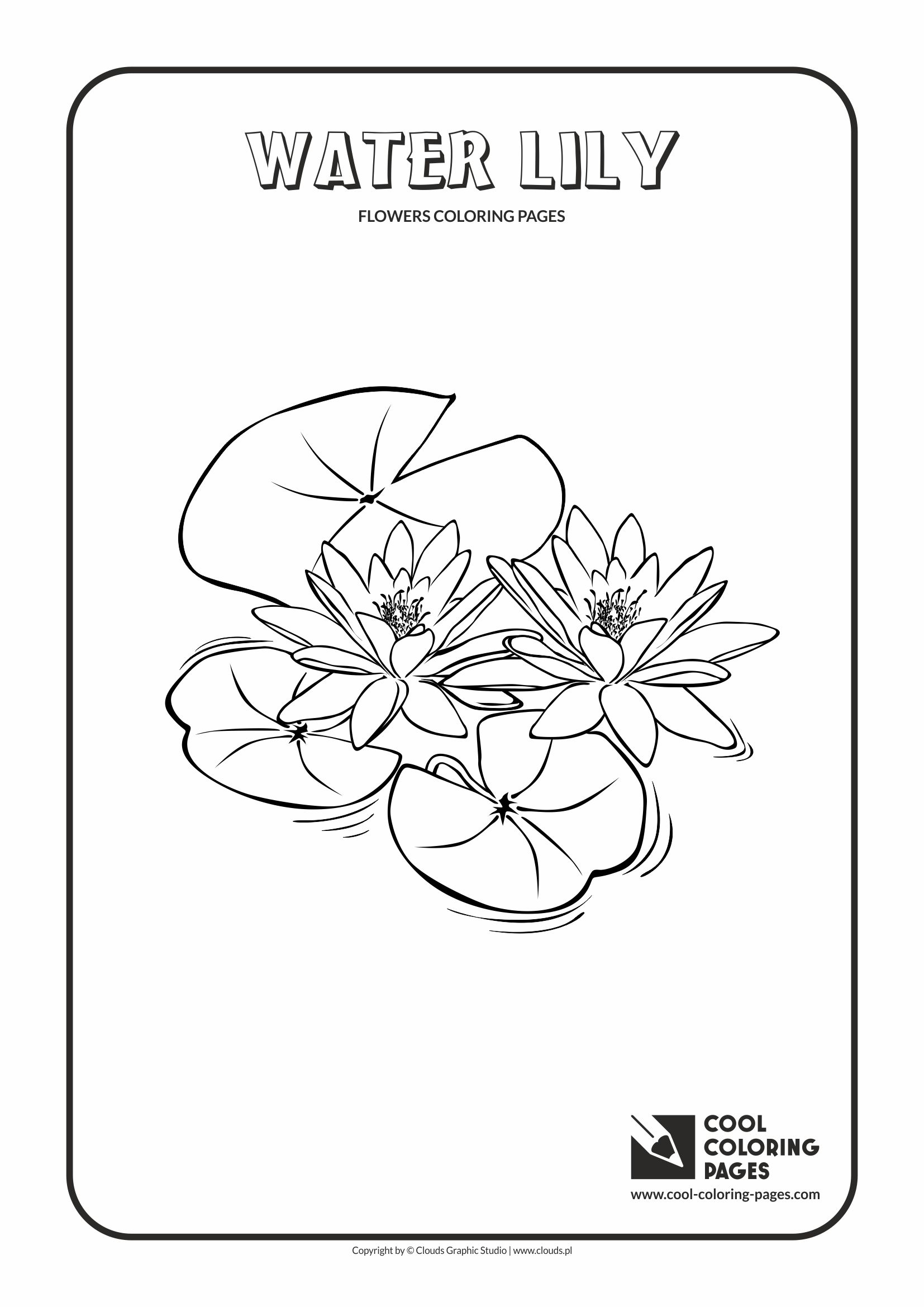Cool coloring pages water lily coloring page