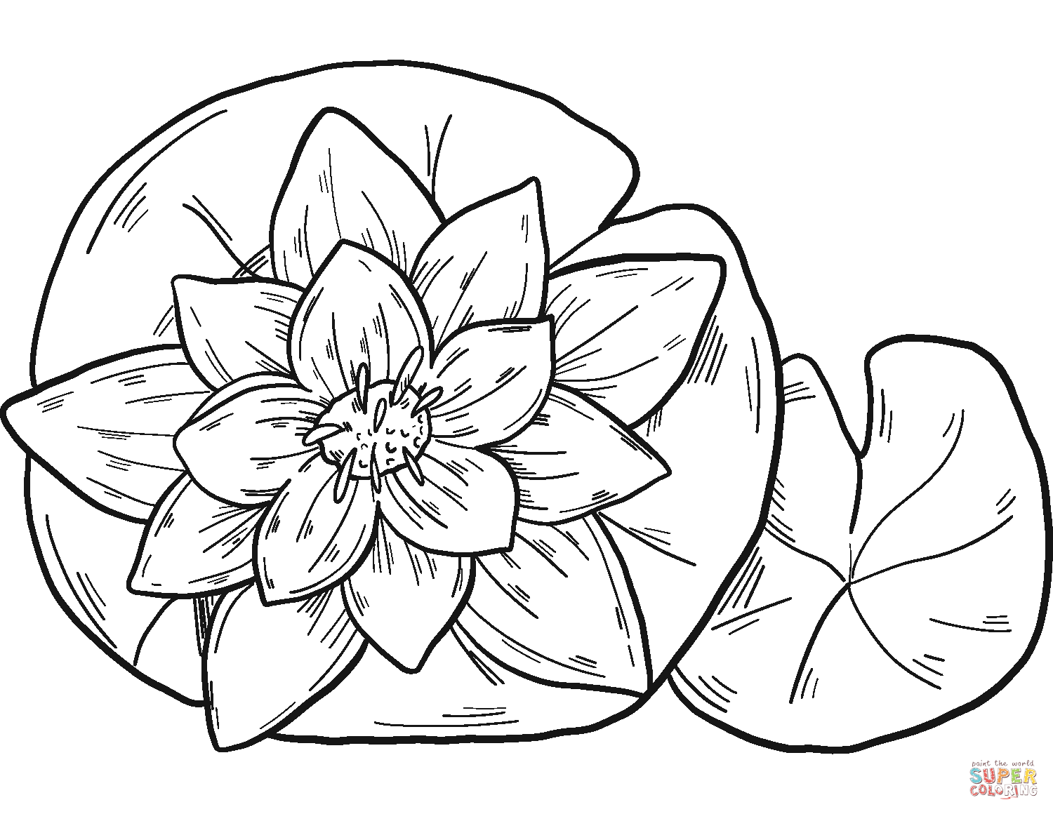 Water lily coloring page free printable coloring pages